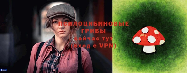 герыч Новодвинск
